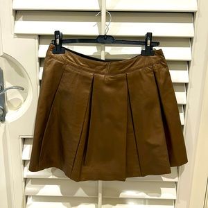 Bronze European Skirt